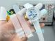 ER Factory Swiss Replica Rolex Phantomlab Submariner Waves Dial Transparent Case Watch (7)_th.jpg